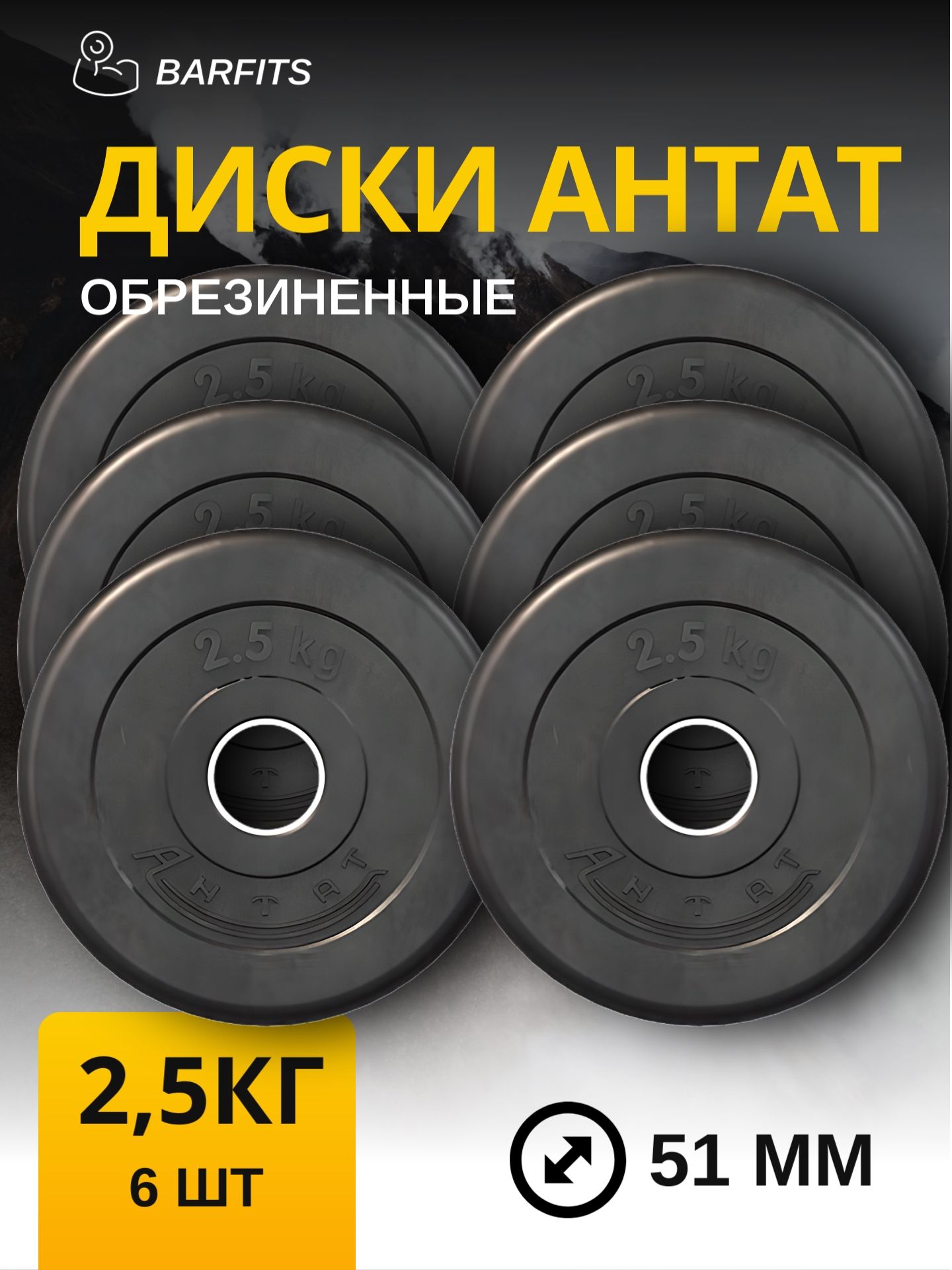 

Комплект Дисков Антат 51мм 2.5кг. / 6 шт.