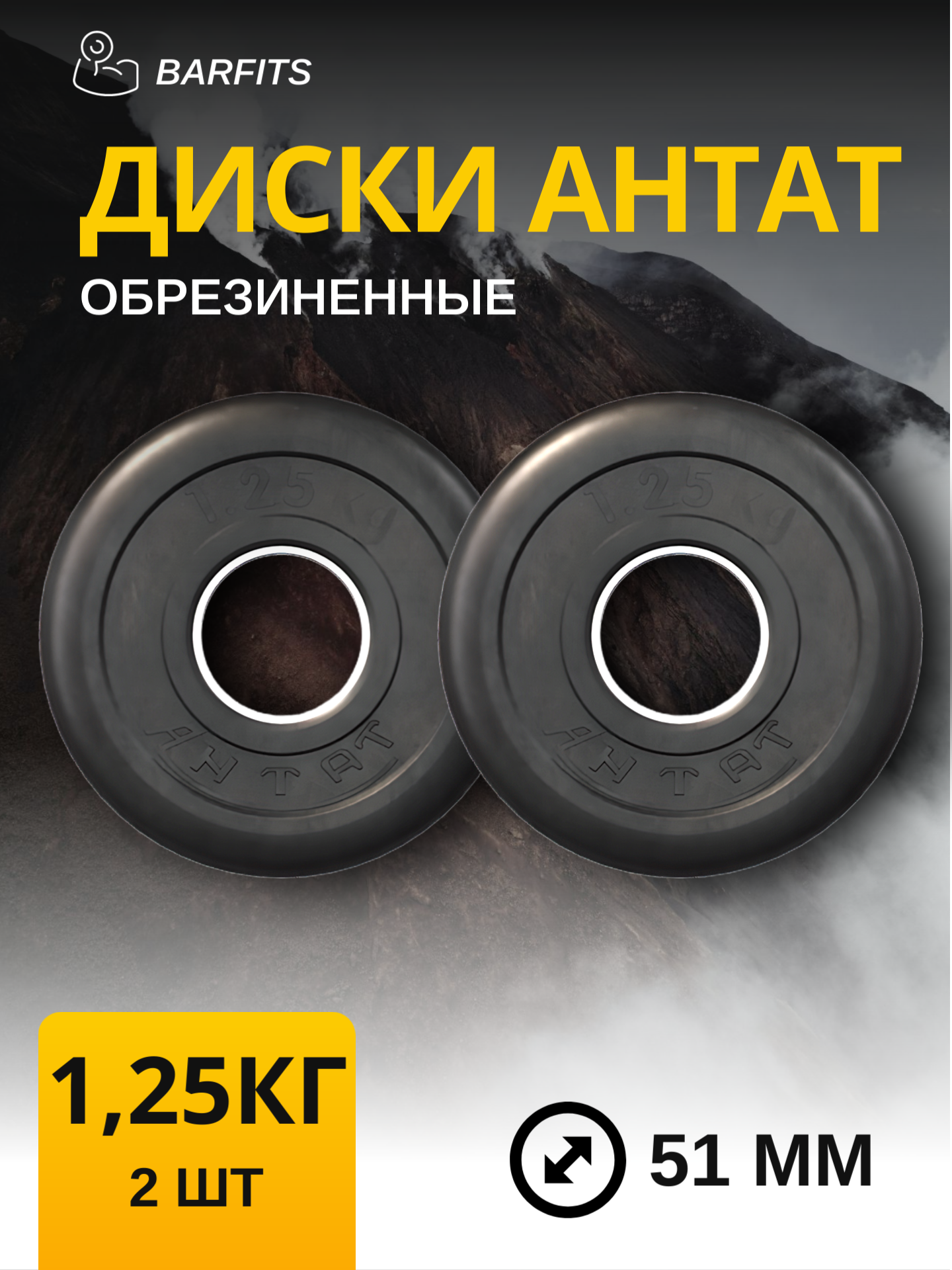 

Комплект Дисков Антат 51мм 1.25кг. / 2 шт.
