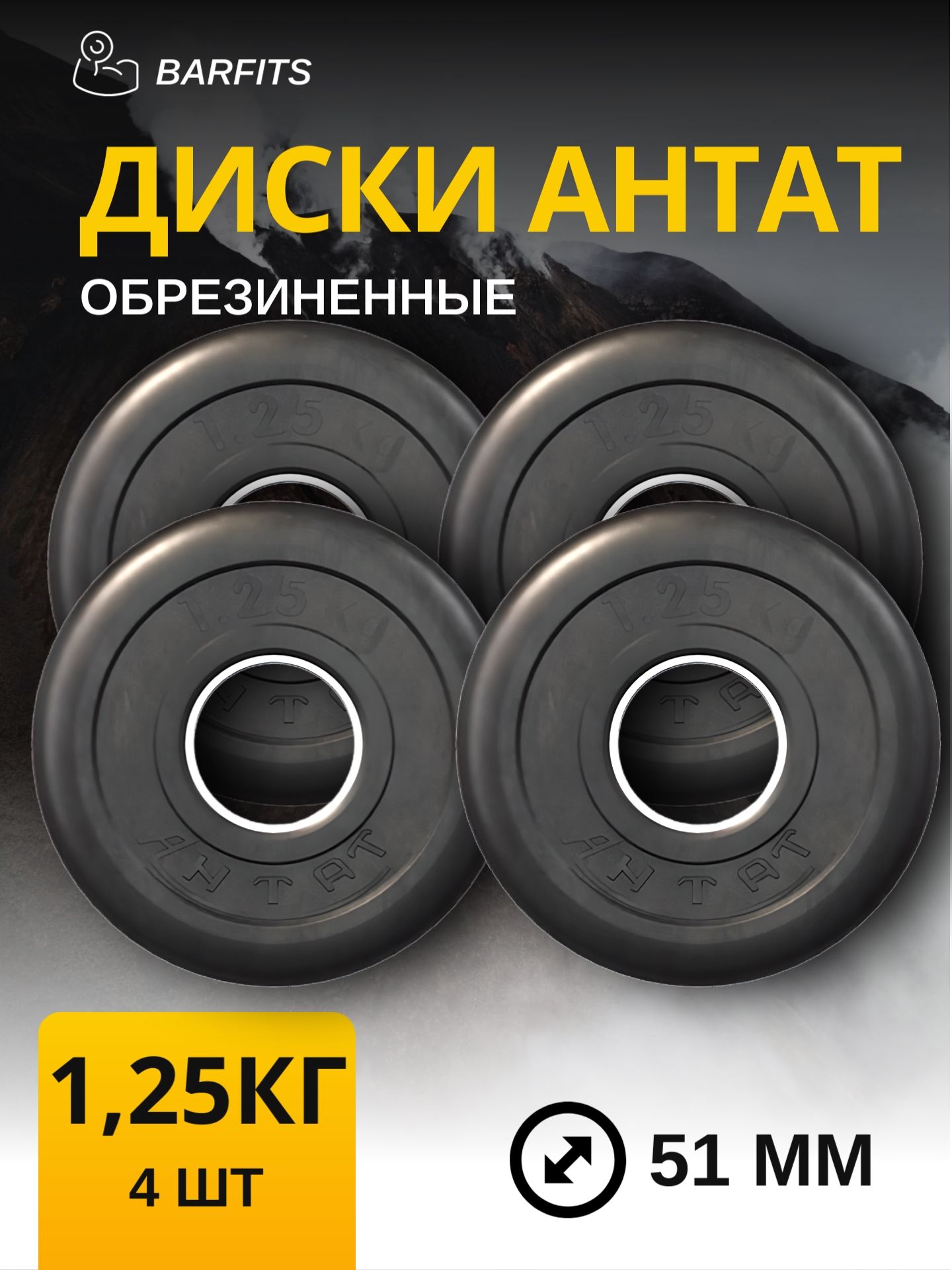 

Комплект Дисков Антат 51мм 1.25кг. / 4 шт.