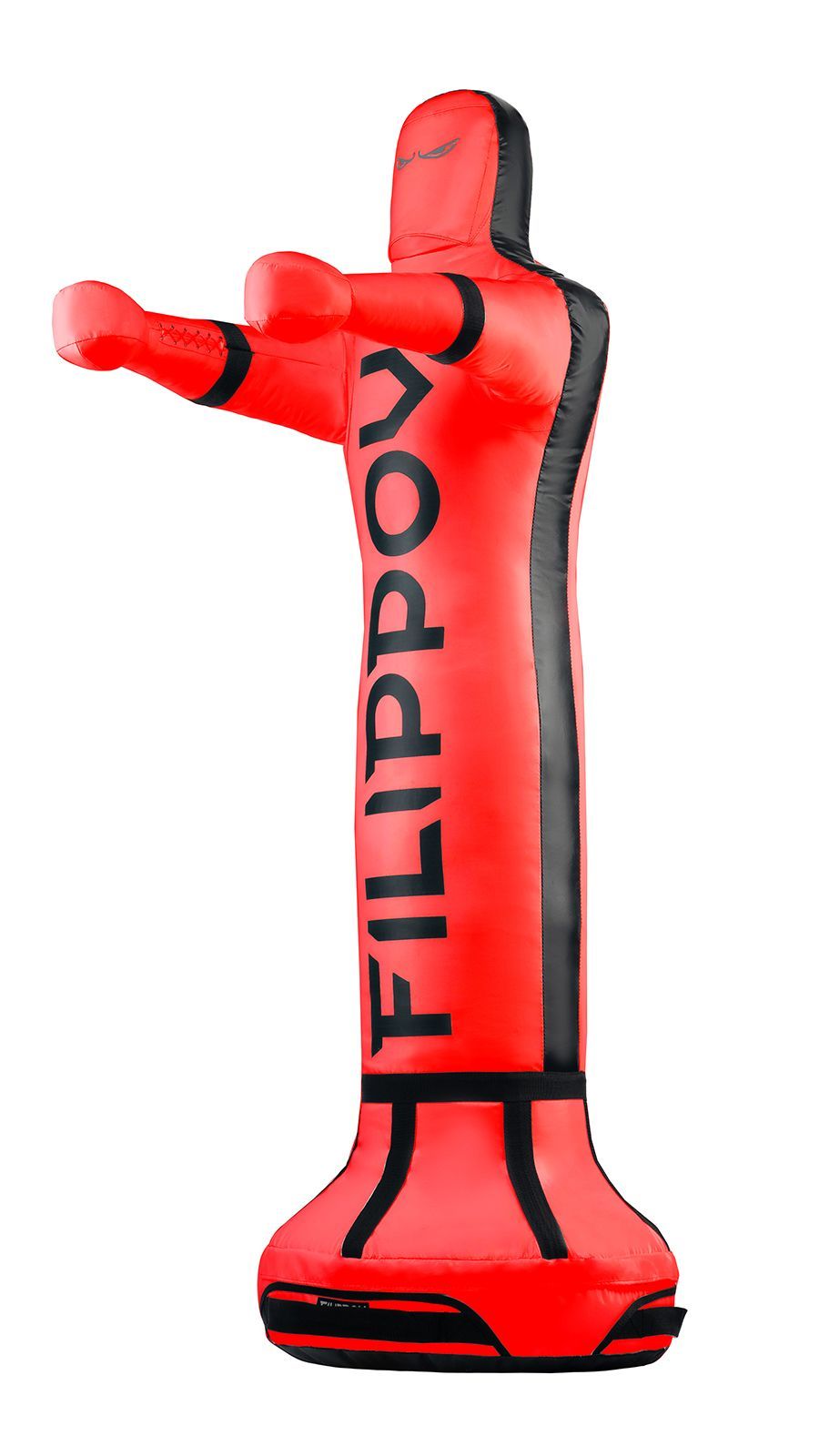 

Спарринг-партнёр FILIPPOV 163 см