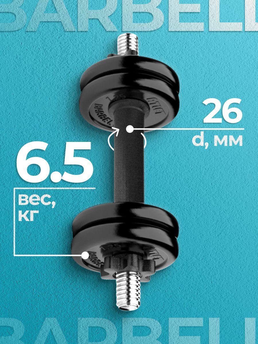 

Гантель разборная MB Barbell MB-FdbM-At6.5 6.5кг