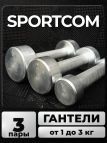 Гантели Sportcom неразборные металлические 1-3 кг 2шт