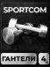 Гантели Sportcom неразборные металлические 4 кг 2 шт