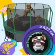 Батут с защитной сеткой 427 см каркасный - KedaJump Jumpinator 14FT