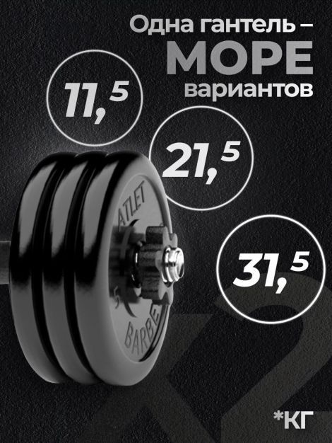 Гантели разборные MB Barbell MB-FdbM-At4 31.5кг 2шт