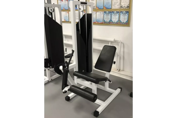 Разгибание ног сидя Barfits GT-04