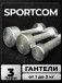 Гантели Sportcom неразборные металлические 1-3 кг 2шт