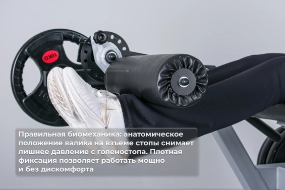 Тренажер Разгибание ног сидя Barfits SV-04