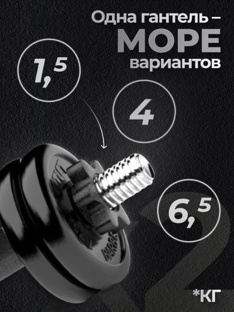 Гантели разборные MB Barbell MB-FdbM-At4 6.5кг 2шт