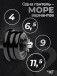 Гантели разборные MB Barbell MB-FdbM-At4 11,5кг 2шт
