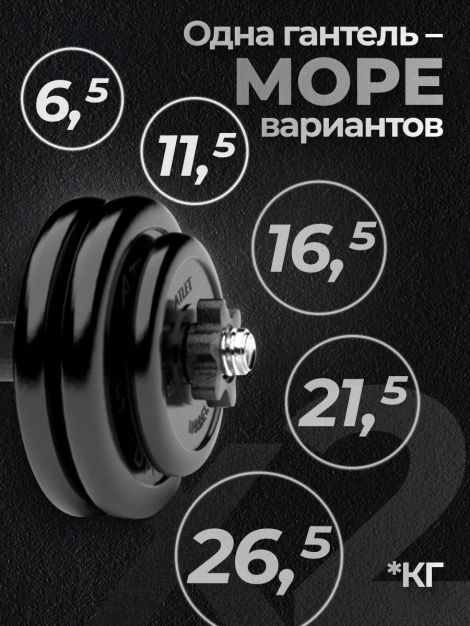 Гантели разборные MB Barbell MB-FdbM-At4 26.5кг 2шт