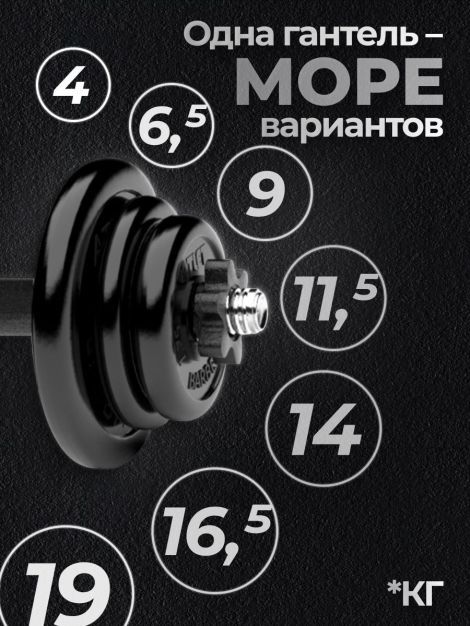 Гантель разборная MB Barbell MB-FdbM-At19 19кг