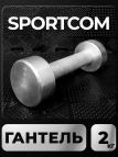 Гантель Sportcom неразборная металлическая 2 кг 