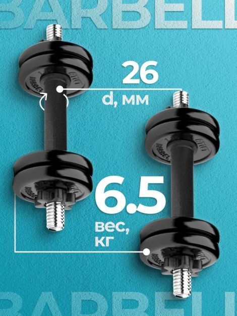 Гантели разборные MB Barbell MB-FdbM-At4 6.5кг 2шт