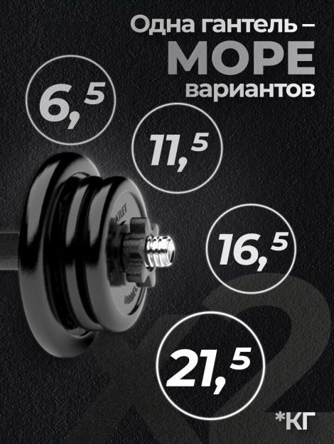 Гантели разборные MB Barbell MB-FdbM-At4 21.5кг 2шт