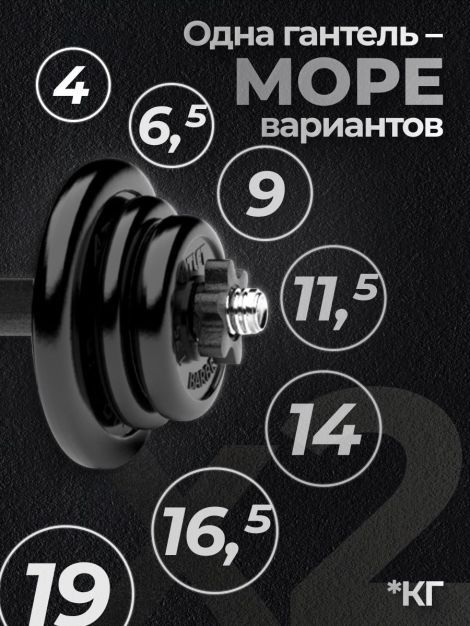 Гантели разборные MB Barbell MB-FdbM-At4 19кг 2шт