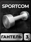 Гантель Sportcom неразборная металлическая 3 кг 