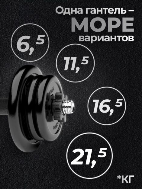 Гантель разборная MB Barbell MB-FdbM-At21.5 21,5кг