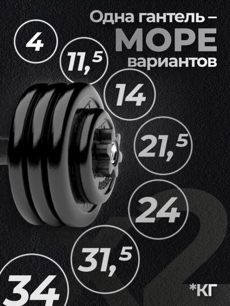 Гантели разборные MB Barbell MB-FdbM-At4 34кг 2шт
