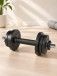 Гантель разборная BARFITS Sportcom D26 16,5кг
