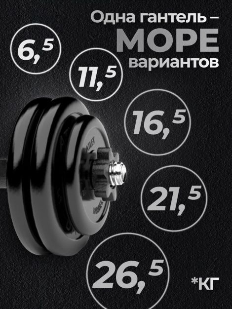 Гантель разборная MB Barbell MB-FdbM-At26.5 26.5кг