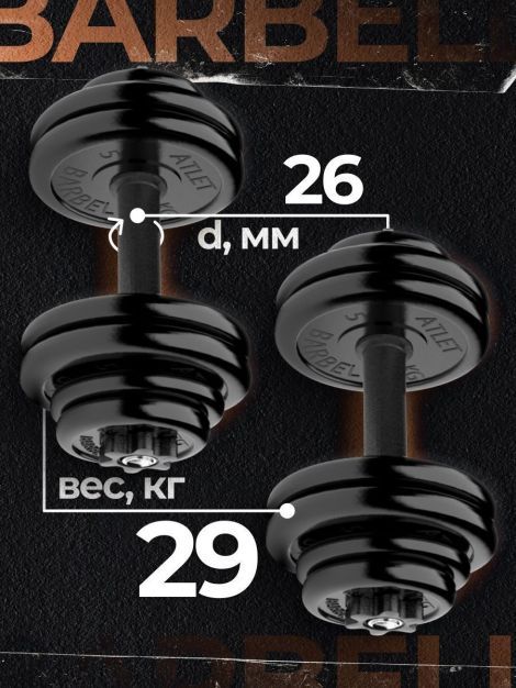 Гантели разборные MB Barbell MB-FdbM-At4 29кг 2шт