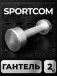 Гантель Sportcom неразборная металлическая 2 кг 