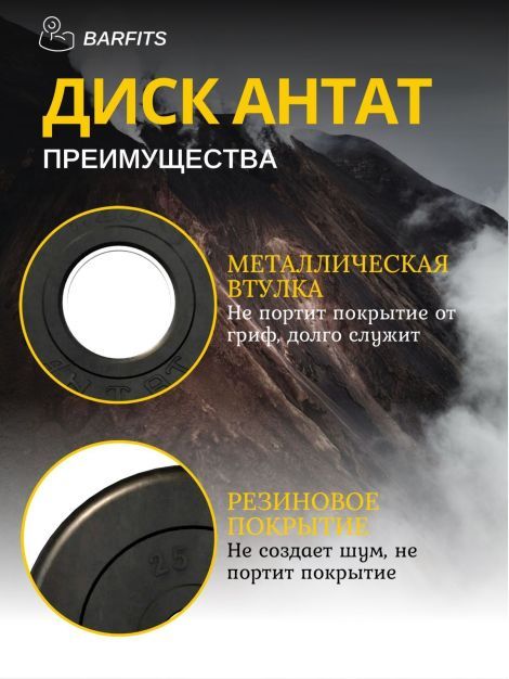  Комплект Дисков Антат 51мм 2.5кг. / 4 шт.