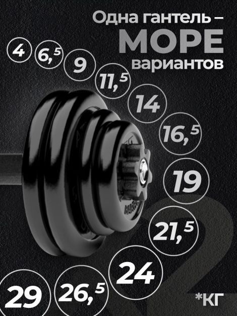 Гантели разборные MB Barbell MB-FdbM-At4 29кг 2шт
