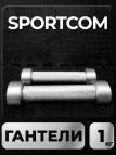 Гантели Sportcom неразборные металлические 1 кг 2 шт