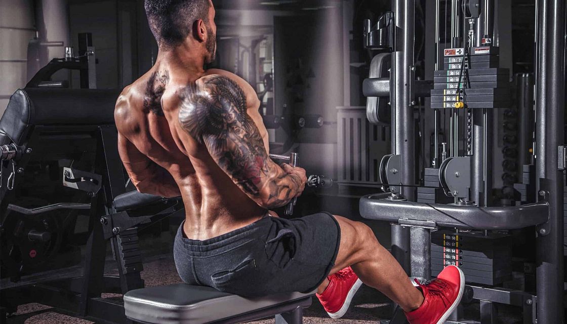 ������ Saizen 10me �������: ����.