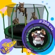 Батут с защитной сеткой 366 см каркасный - KedaJump Jumpinator 12FT