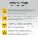 Игровая площадка «Калифорния»