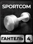 Гантель Sportcom неразборная металлическая 4 кг 