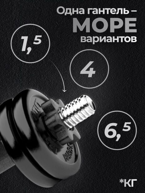 Гантель разборная MB Barbell MB-FdbM-At6.5 6.5кг