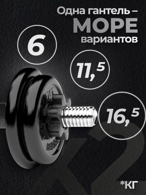 Гантели разборные MB Barbell MB-FdbM-At4 16.5кг 2шт