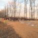 Военизированная полоса препятствий Spektr Sport