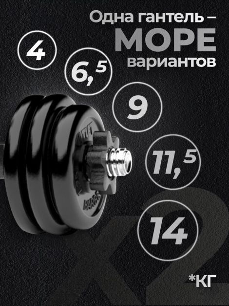 Гантели разборные MB Barbell MB-FdbM-At4 14кг 2шт