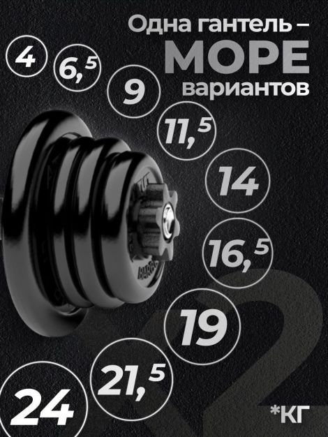 Гантели разборные MB Barbell MB-FdbM-At4 24кг 2шт